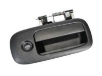 OEM Chevrolet P30 Handle, Outside - 25942270