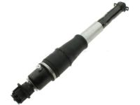 OEM 2007 Cadillac DTS Shock Absorber - 19300026