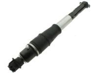 OEM 2008 Buick Lucerne Shock Absorber - 19300026