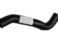 OEM Pontiac Grand Am Radiator Outlet Hose (Lower) - 22647232