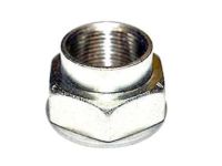 OEM Chevrolet Spark Axle Nut - 13208672