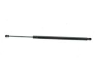 OEM Chevrolet Trailblazer EXT Support Strut - 15130344