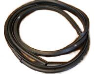 OEM Cadillac DTS Surround Weatherstrip - 25956332