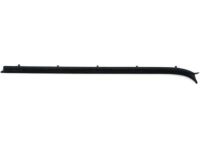 OEM 1985 Chevrolet C10 Weatherstrip Asm-Front Side Door Window RH - 15569072