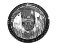 OEM Hummer Daytime Run Lamp - 15258697