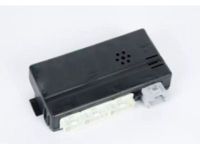 OEM Saturn Body Control Module - 19116649