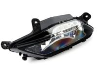 OEM Buick Regal TourX Fog Lamp Assembly - 39024269