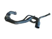 OEM GMC Radiator Outlet Hose (Lower) - 25841843