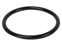 OEM Chevrolet Express Outlet Pipe Seal - 94011702