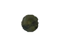 OEM Buick Regal TourX Inverter Nut - 11546377