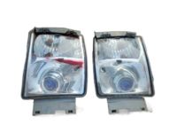 OEM Cadillac Fog Lamp Assembly - 20972730