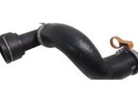 OEM Chevrolet Cruze Lower Hose - 95971215