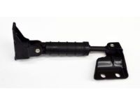 OEM Chevrolet Malibu Absorber - 15235775