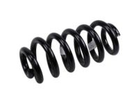 OEM 2022 Buick Enclave Coil Spring - 23104463