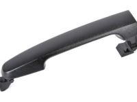 OEM Pontiac Handle, Outside - 88969863