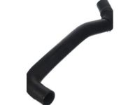 OEM Chevrolet Express Upper Hose - 19258620