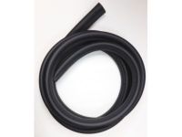 OEM 2005 GMC Envoy Weatherstrip - 25941520