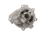 OEM Pontiac Water Pump Assembly - 25195119