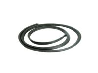 OEM Hummer Weatherstrip - 15772338