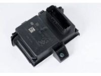 OEM Buick Fuel Pump Flow Control Module Assembly - 20867261