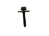 OEM Chevrolet Trailblazer Bolt/Screw - 11547421