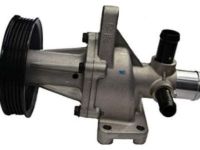 OEM 2013 Chevrolet Spark Water Pump - 25189098