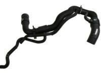 OEM Chevrolet Lower Hose - 19258629