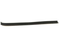 OEM Chevrolet Sash Channel Seal - 14027775