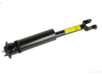 OEM 2005 Cadillac CTS Shock Absorber - 25770612