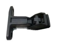 OEM Pontiac Trans Sport Latch - 10339796