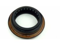 OEM 2008 Chevrolet Colorado Extension Seal - 97238997