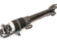 OEM 2007 Cadillac XLR Rear Shock Absorber Kit - 19302794