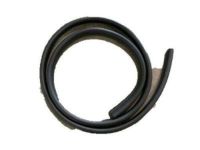 OEM Pontiac Door Weatherstrip - 89039906