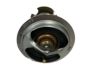 Buick 12559807