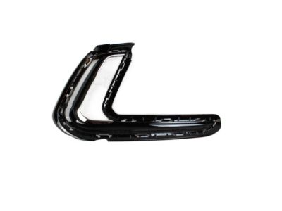 Hyundai 86564-F3400 Cover-Front Bumper Blanking, RH
