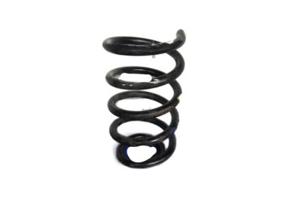 Kia 553304Z020 Rear Springs