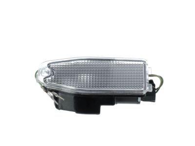 Hyundai 87614-3J000 Lamp Assembly-Puddle, LH
