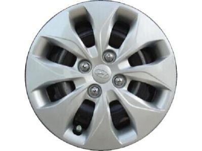 Hyundai 52960-1R100 Wheel Hub Cap Assembly