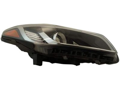 Hyundai 92102-C2000 Lamp Halogen Headlight Replacement