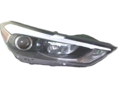 Hyundai 92102-D3150 Headlamp Assembly, Right