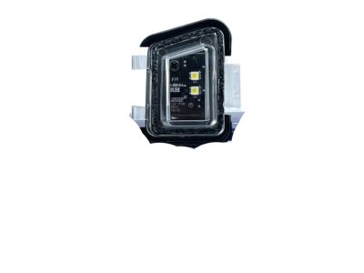 Hyundai 87629-S8000 Lamp Assembly-Puddle, RH