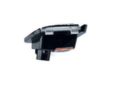Hyundai 87629-S8000 Lamp Assembly-Puddle, RH