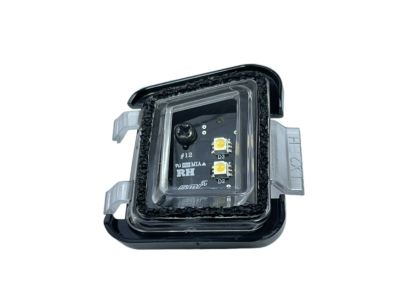 Hyundai 87629-S8000 Lamp Assembly-Puddle, RH