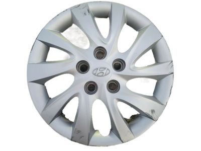 Hyundai 52960-3X100 Wheel Hub Cap Assembly