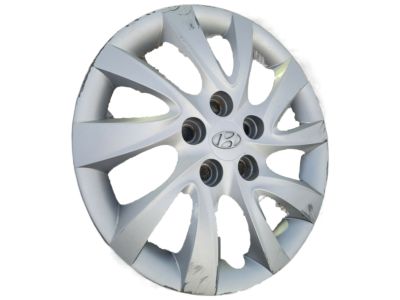 Hyundai 52960-3X100 Wheel Hub Cap Assembly