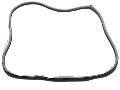 Hyundai 82110-F2000-4X Weatherstrip-Front Door Body Side LH