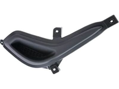 Hyundai 86564-1R000 Cover-Blanking Front Fog, RH