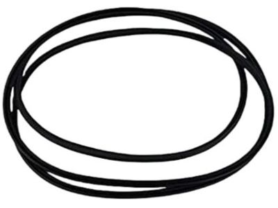 Hyundai 81613-3K000 Weatherstrip-Sunroof Glass