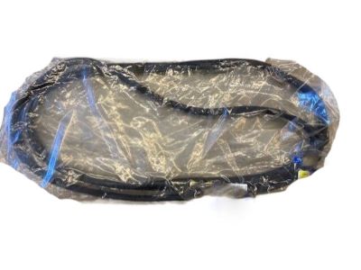 Hyundai 82110-1E201 Weatherstrip-Front Door Body Side LH