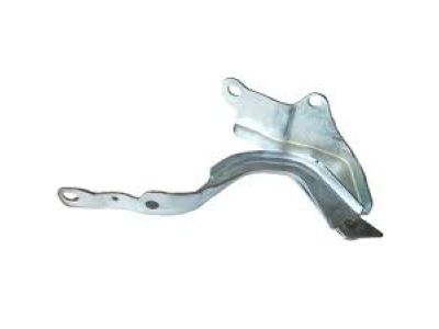 Hyundai 79110-F2000 Hinge Assembly-Hood, LH
